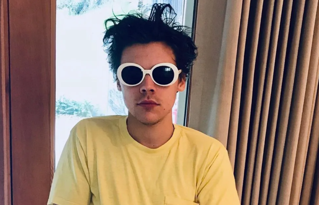 celebrity Harry Styles fashion sunglasses - Saint Laurent California Oval Acetate