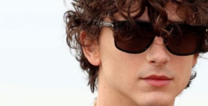 celebrity fashion - Timothée sunglasses - Saint Laurent